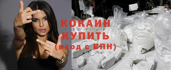 соль ск Белокуриха