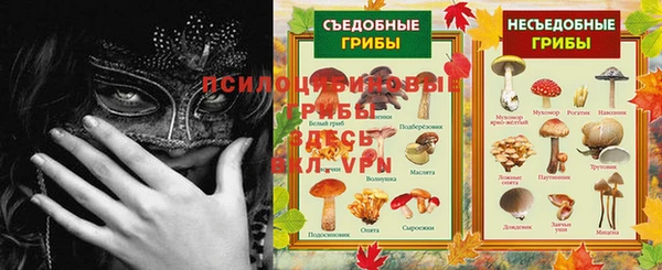 гидра Беломорск